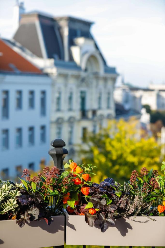 Студио (Номер-студио), Boutiquehotel Das Tyrol