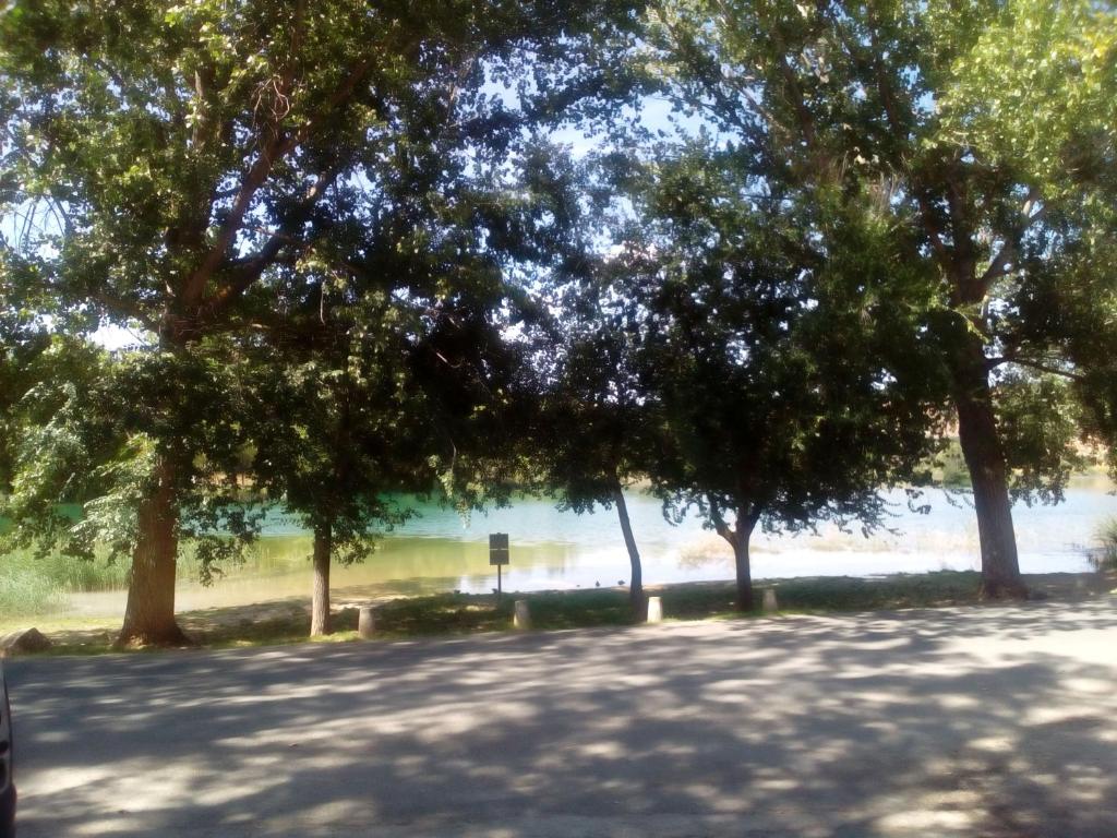 El Molino photo 1