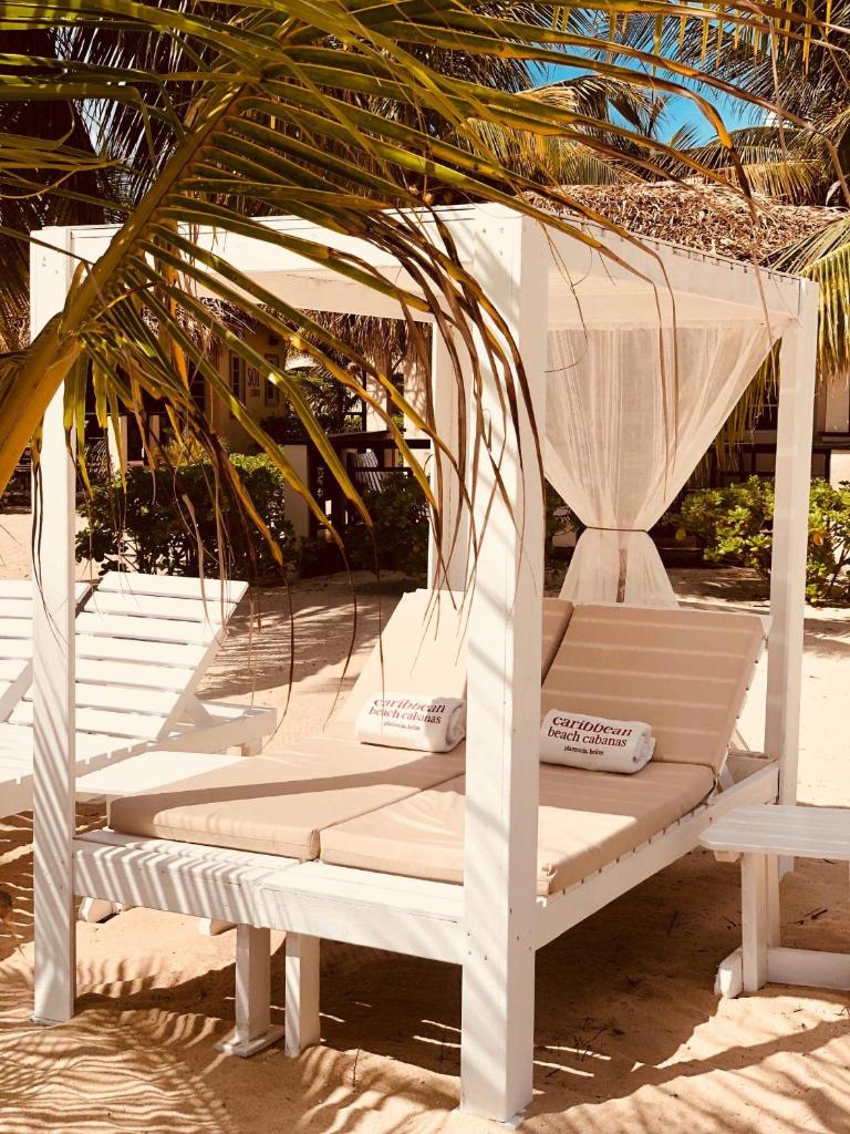 Caribbean Beach Cabanas - A PUR Hotel photo 2