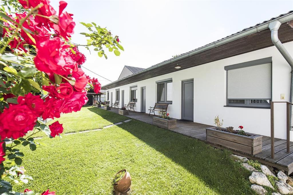 Weingut & Gästehaus Markus Tschida photo 4