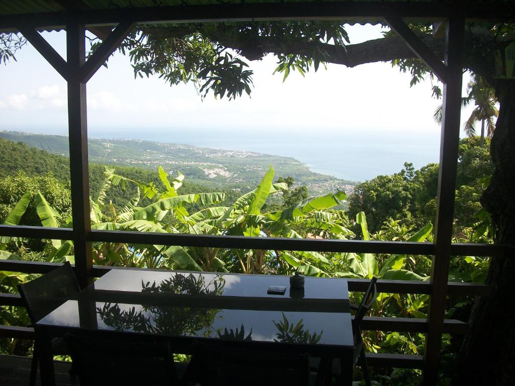 mango tree lodge photo 3