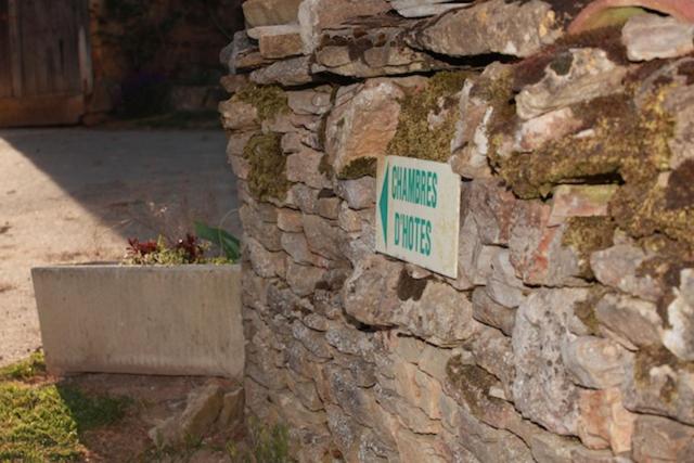 Domaine de la Saule photo 3
