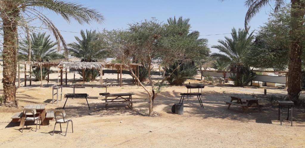 Ras Hasita photo 1