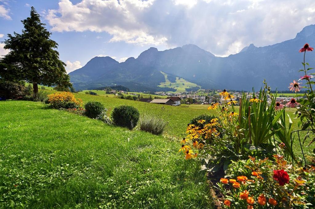 Haus Panoramablick photo 4