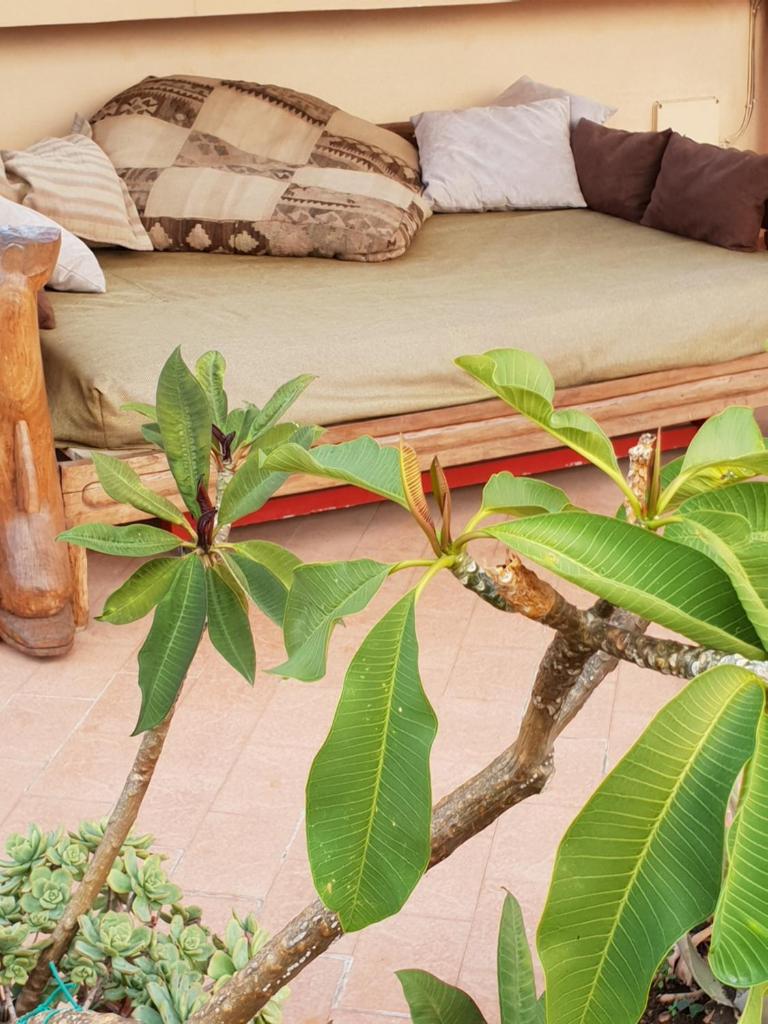 Panoramica Blu photo 1