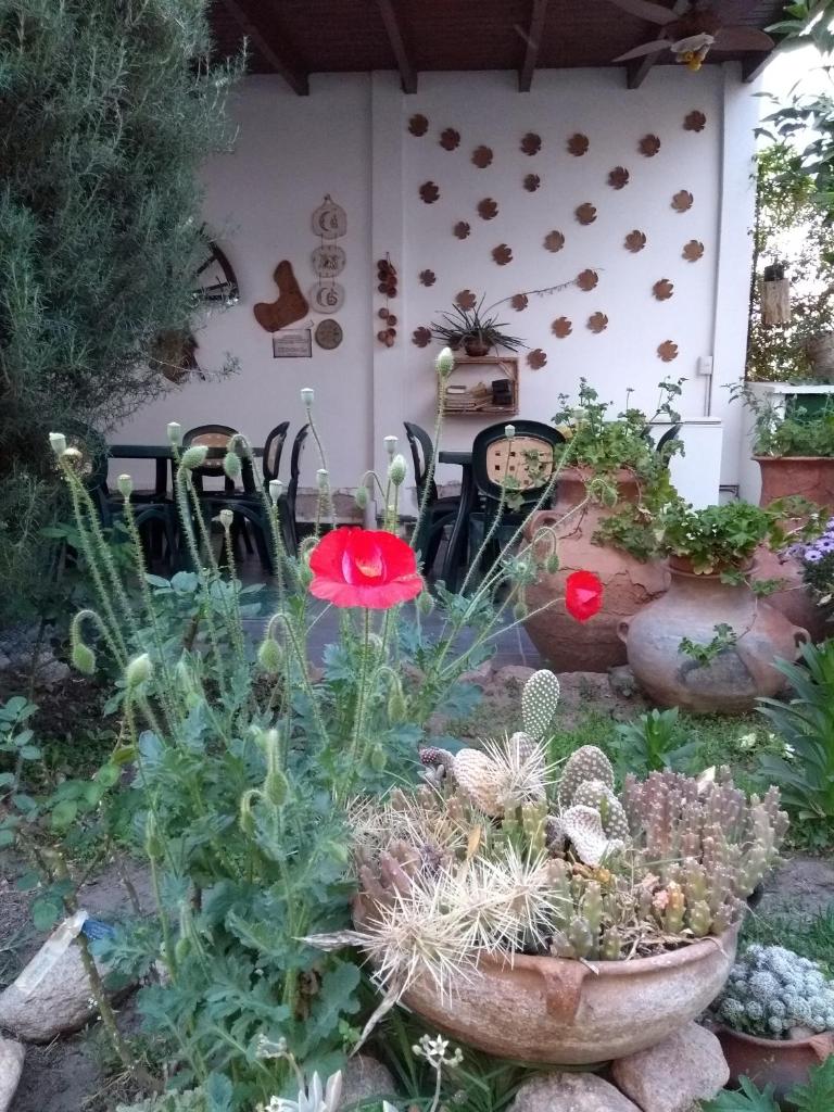 Hotel Portal del Santo photo 4