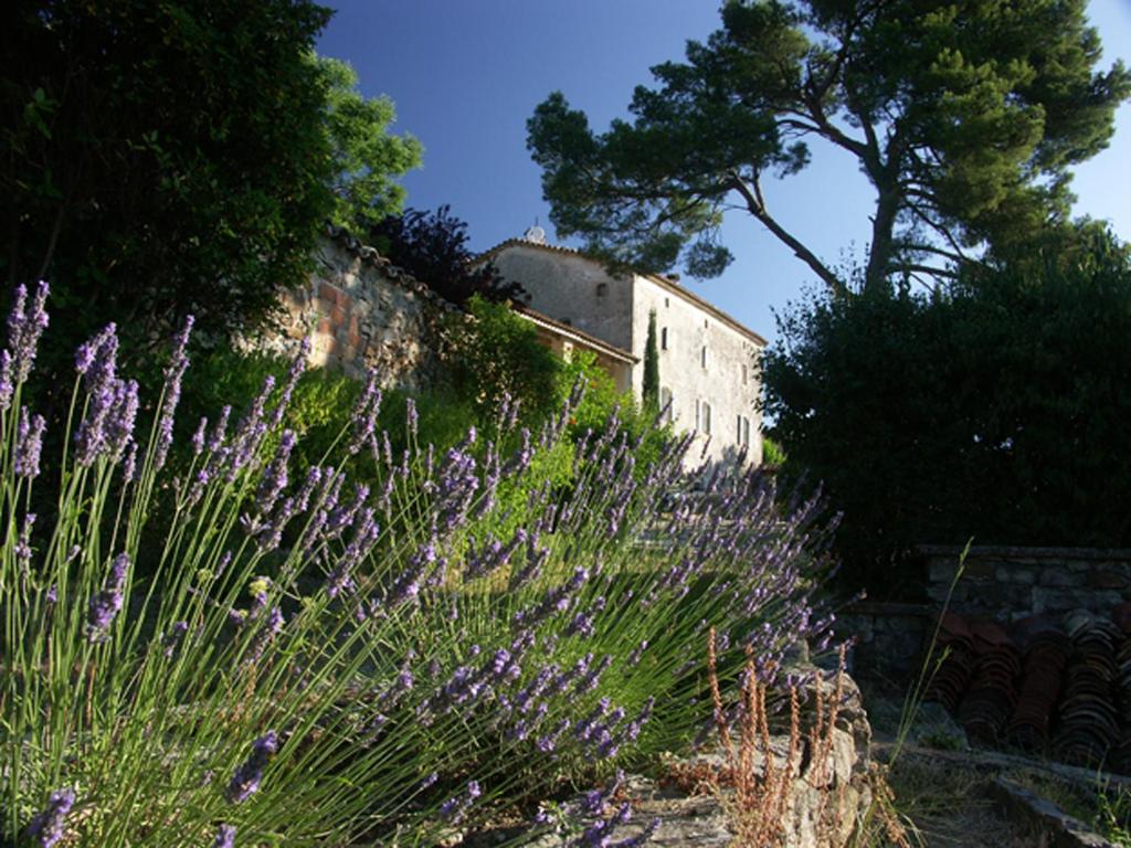 Gîtes du Mas Icard photo 1