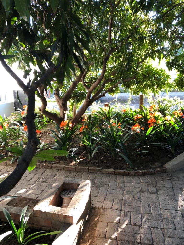 The Lemon Tree photo 4