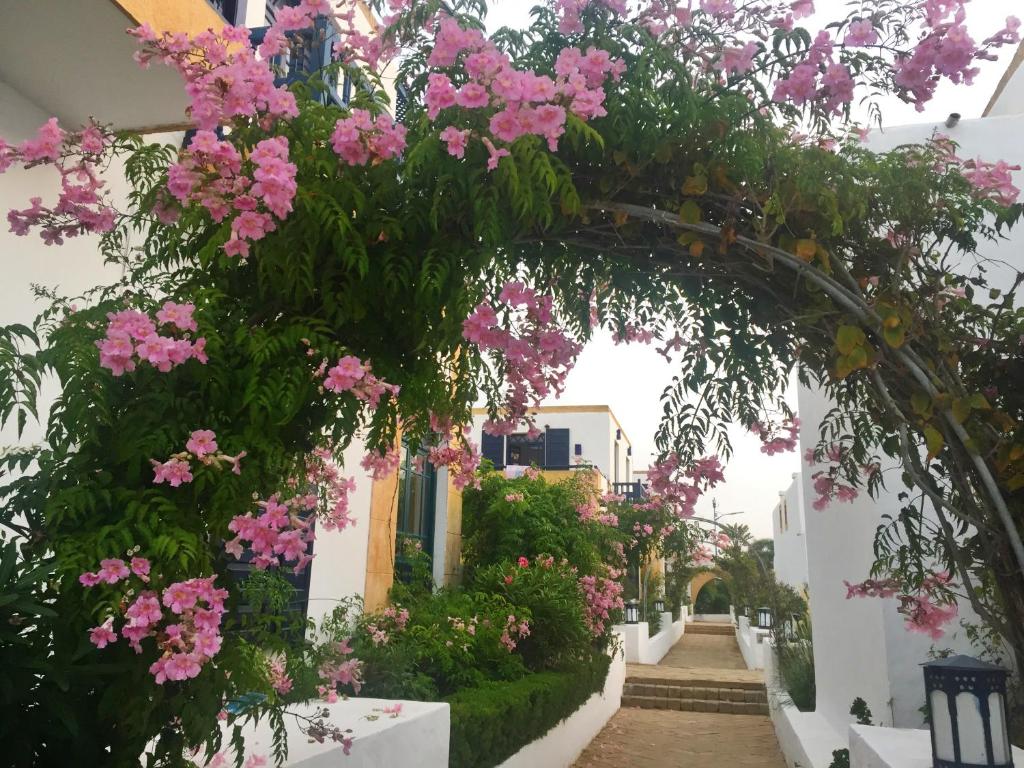 Villa Jardins de la Lagune photo 1