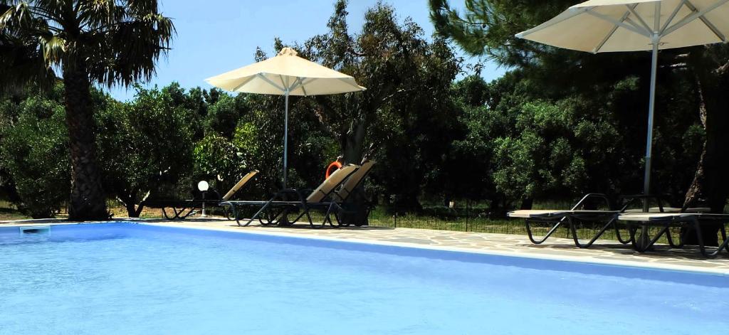 IRIDA Studios Hotel & Pool photo 1