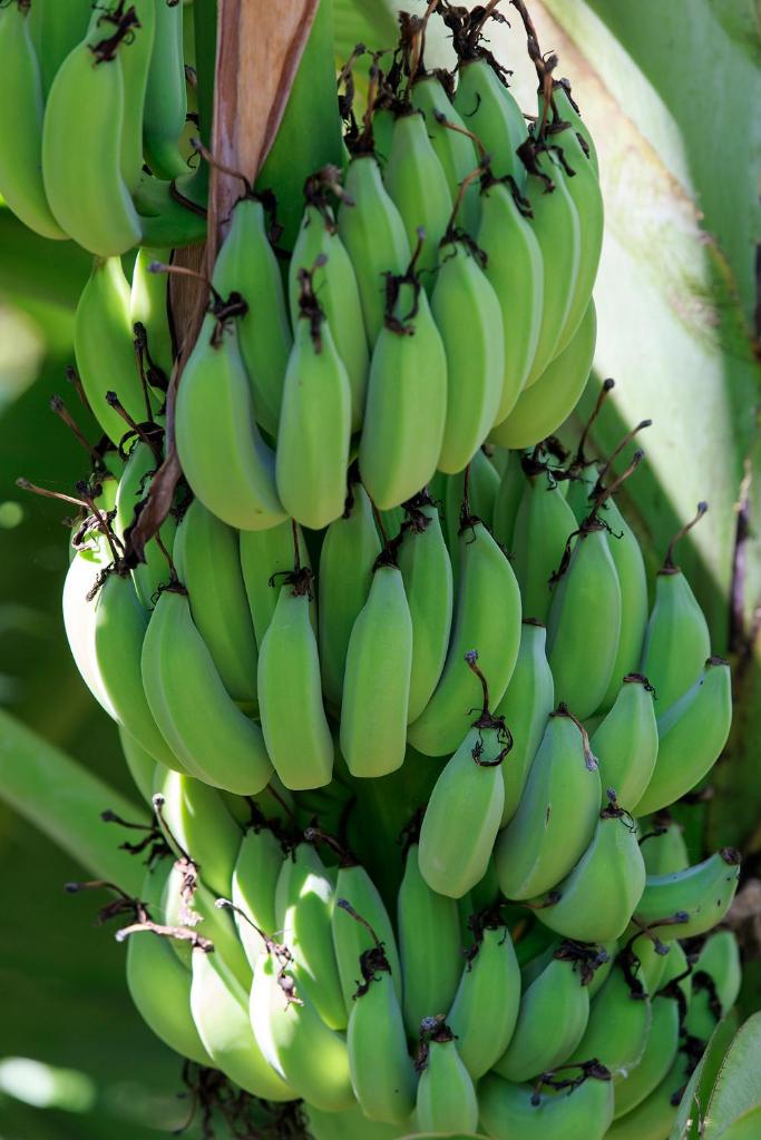 Mekong Riverside Boutique Resort & Spa