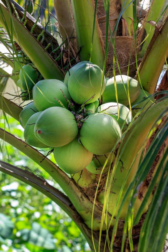 Mekong Riverside Boutique Resort & Spa