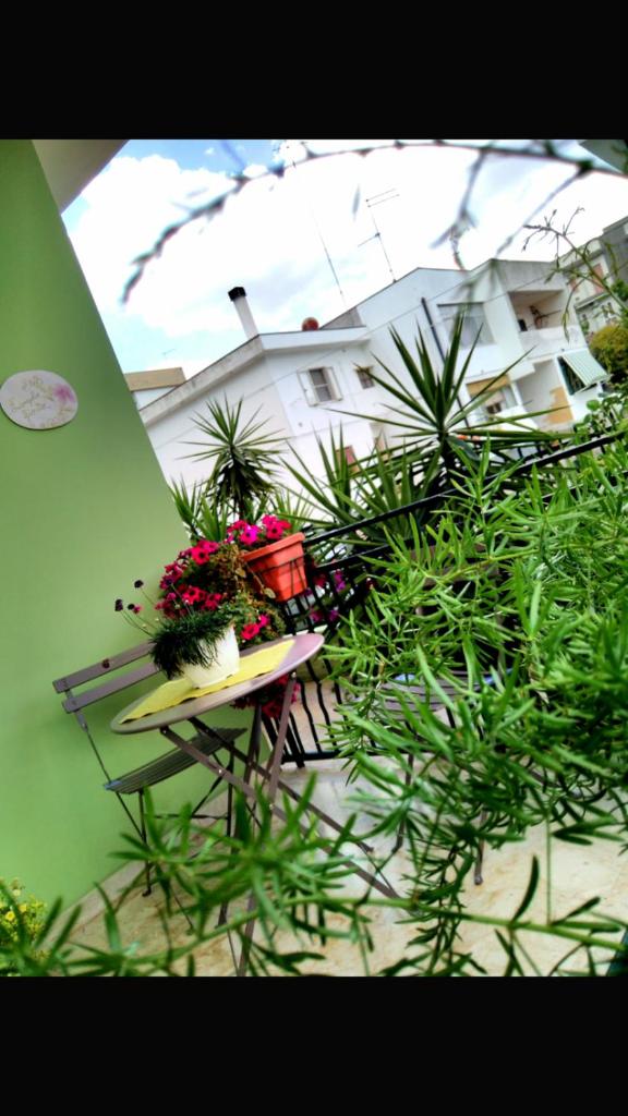 B&B L'angolo fiorito photo 2