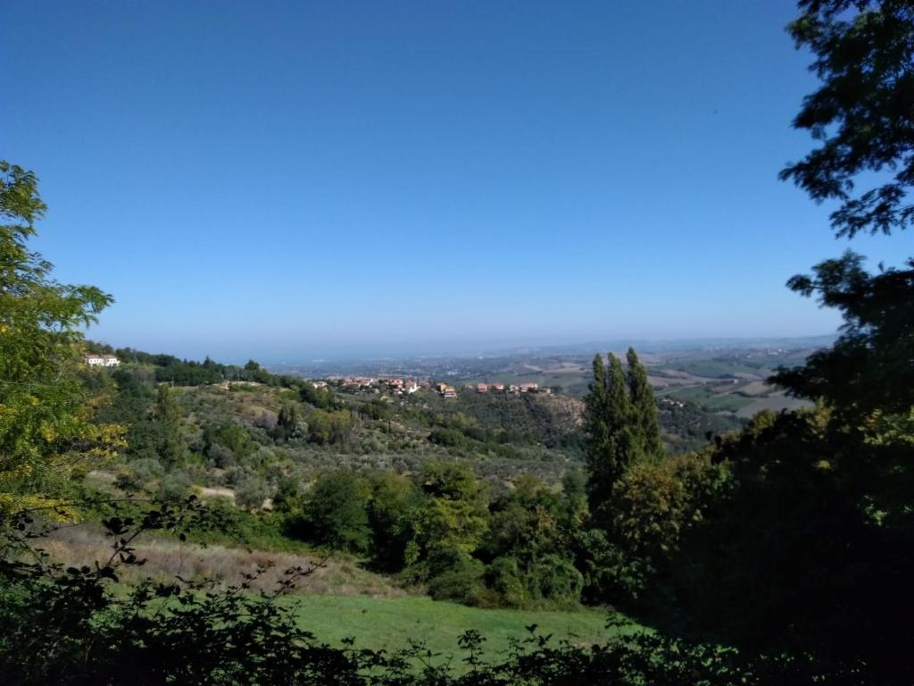 "CARA PACE" in collina per famiglie photo 4