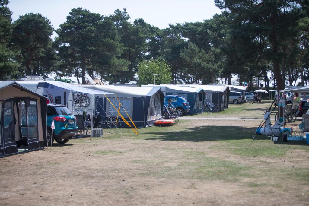 Dueodde Strand Camping photo 3