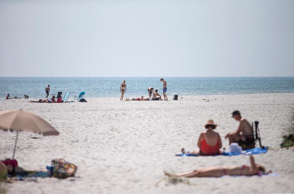 Dueodde Strand Camping photo 4