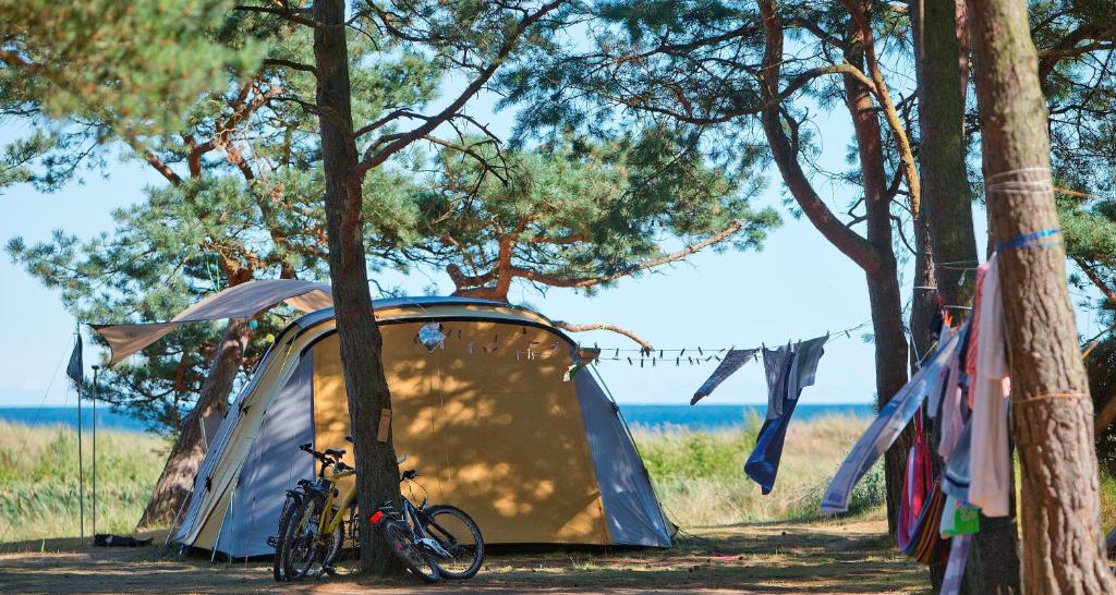 Dueodde Strand Camping photo 2