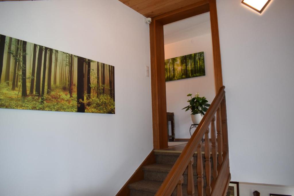 Appartement Maximilian photo 1
