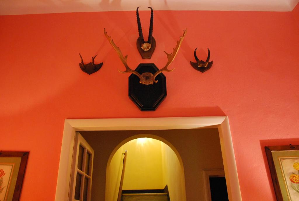 Villa Carola photo 4