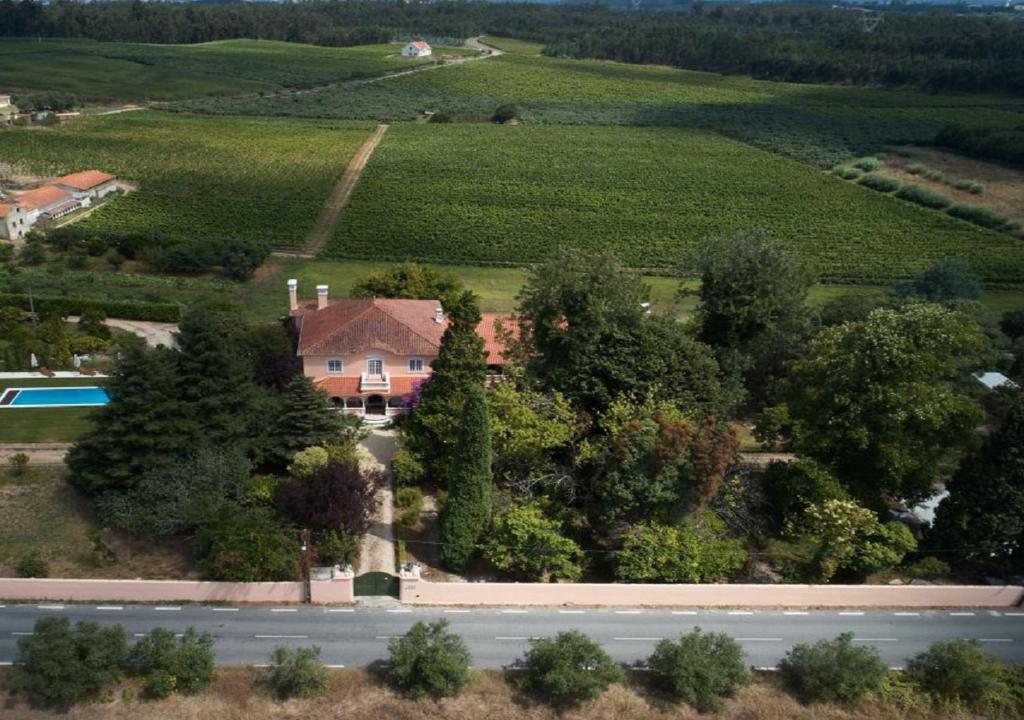 Quinta da Fogueira photo 4