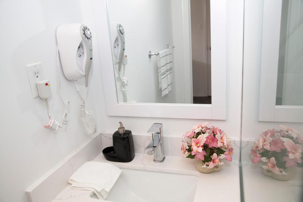 Cozy 3BR 2Bth Lower Unit, A min to Hwy401, 404 & DVP photo 4