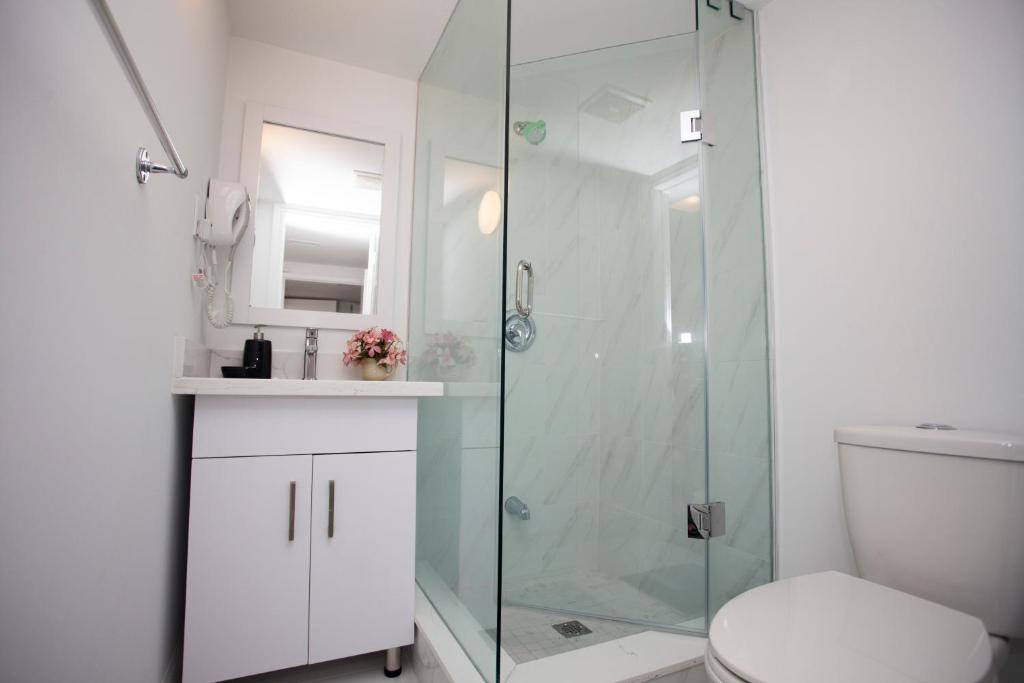 Cozy 3BR 2Bth Lower Unit, A min to Hwy401, 404 & DVP photo 3