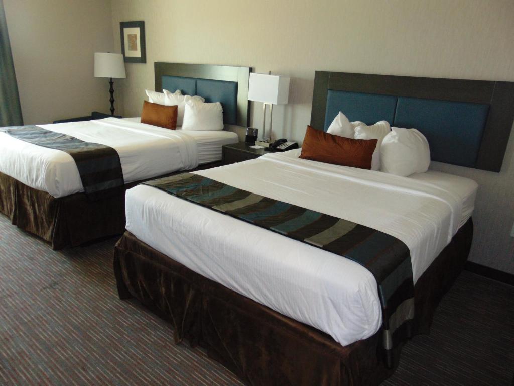 Wingate by Wyndham Lubbock photo 4