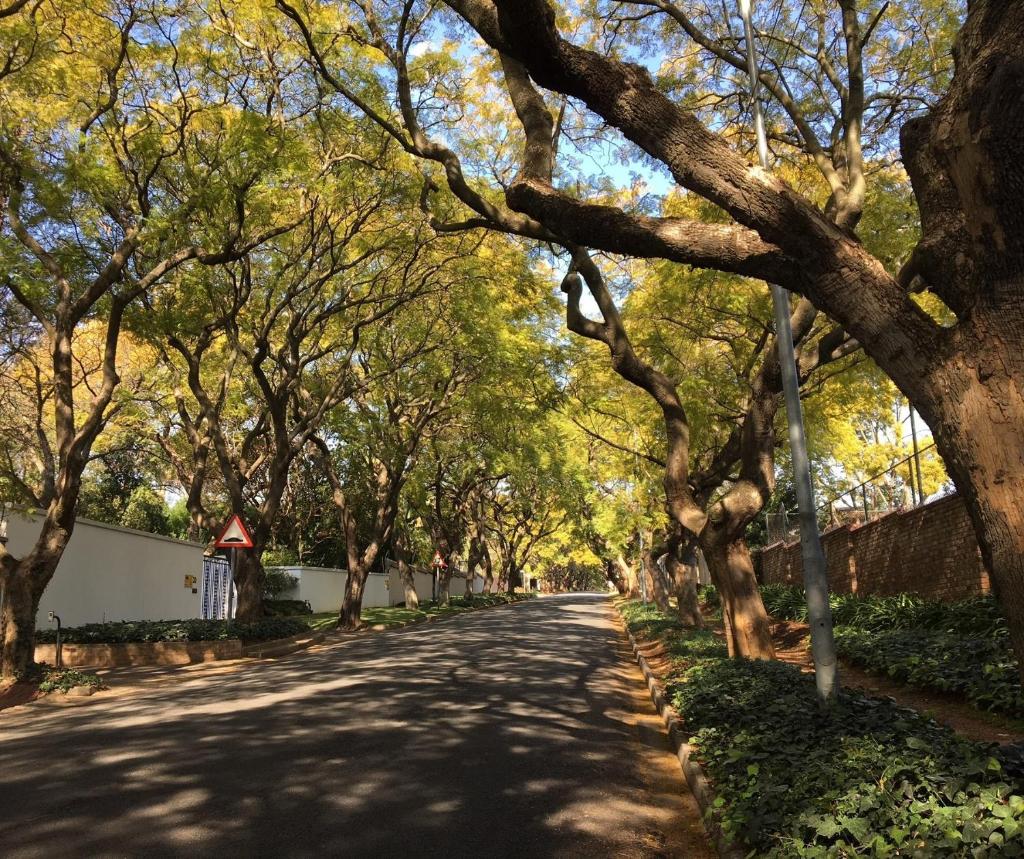 Home From Home, Waverley B&B, Johannesburg photo 1