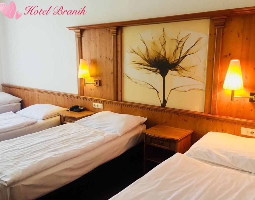 Четырехместный (Стандартный четырехместный номер), Hotel Braník