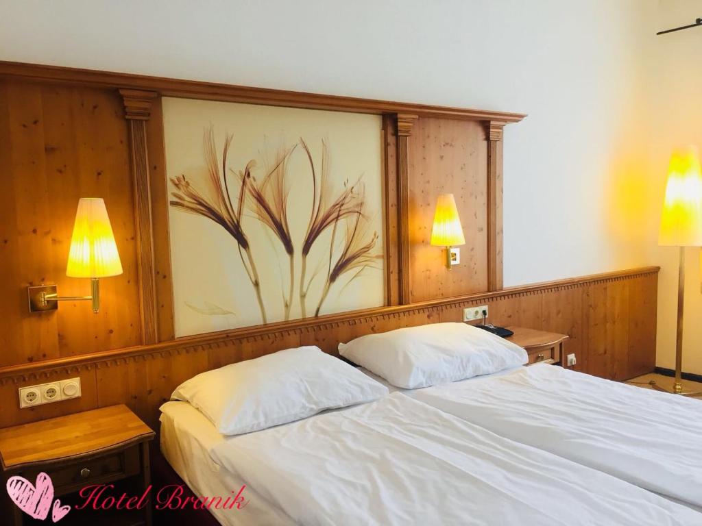 Двухместный (Двухместный номер с 1 кроватью), Hotel Braník