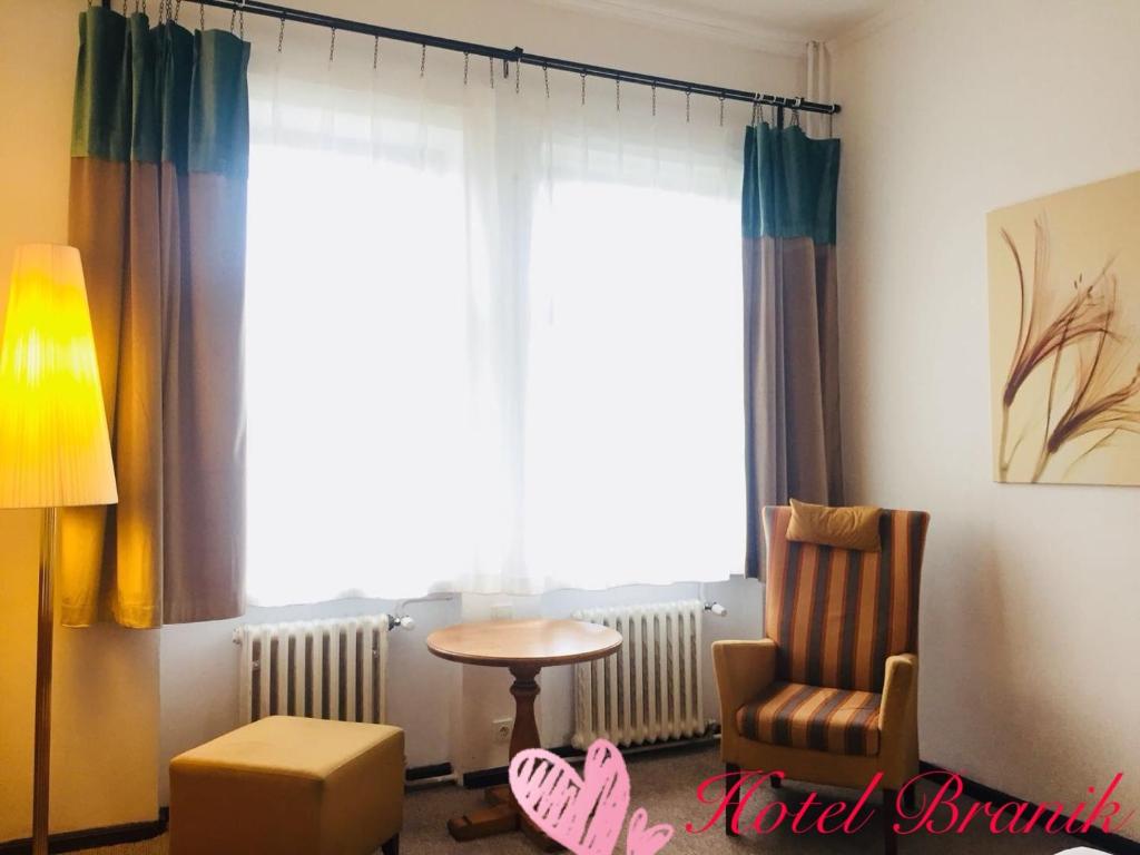 Двухместный (Двухместный номер с 1 кроватью), Hotel Braník