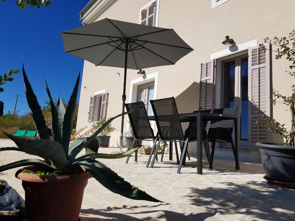 Vila Flora photo 2