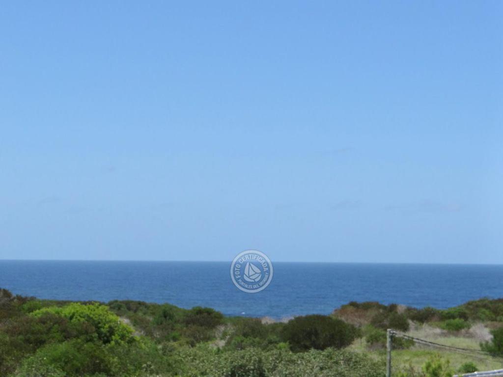 Ammunaini photo 2
