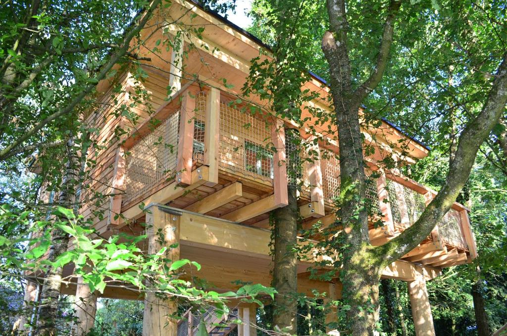 MainBaumhaus photo 3