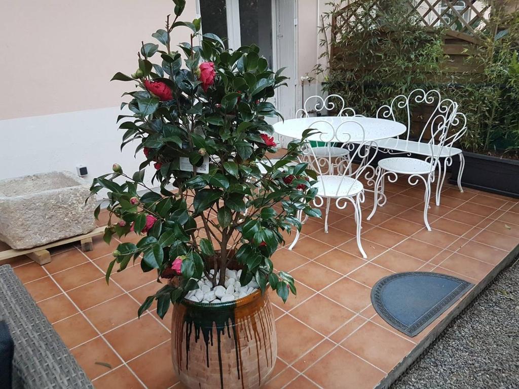 23 Rue Jean Amade photo 3