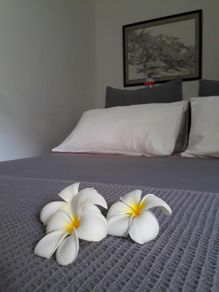 "27" Spathodea- Oasis in the City photo 3