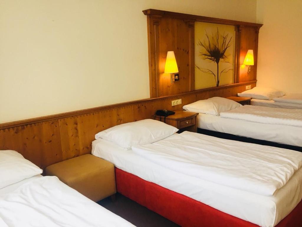 Четырехместный (Стандартный четырехместный номер), Hotel Braník