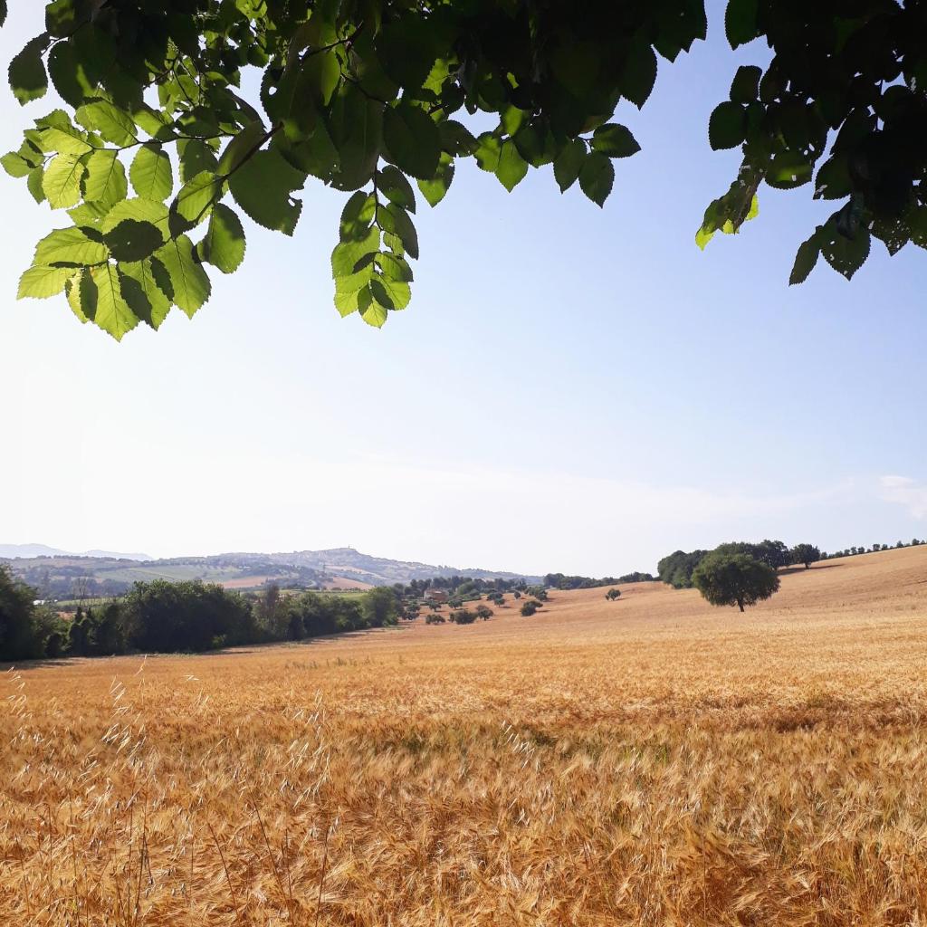 Valcastagno Relais photo 4