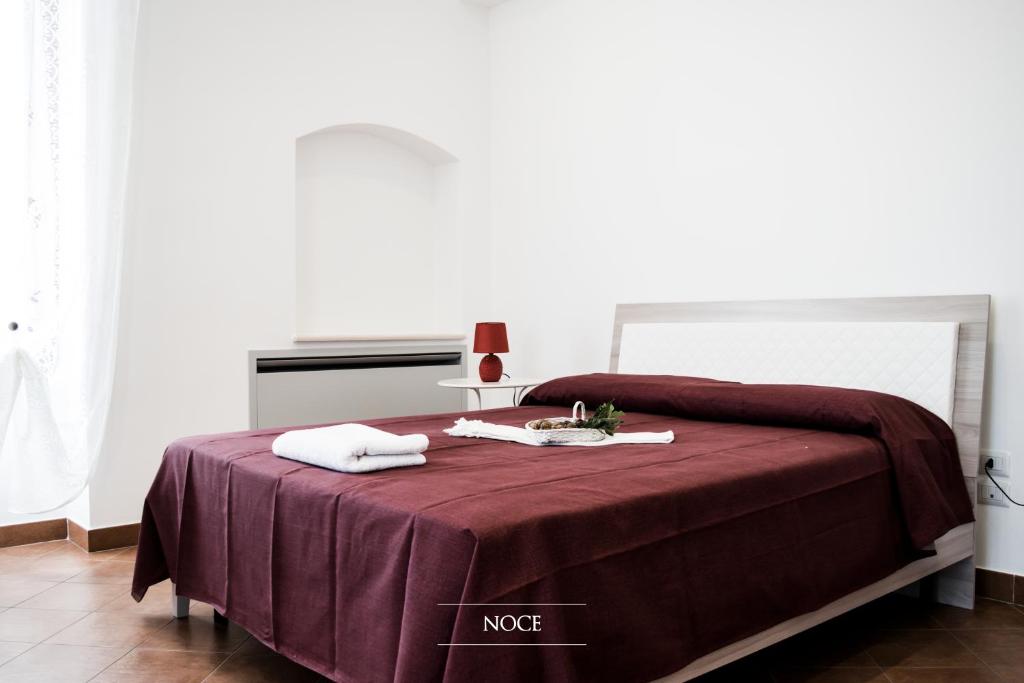 Tenuta Vigna del Noce photo 1