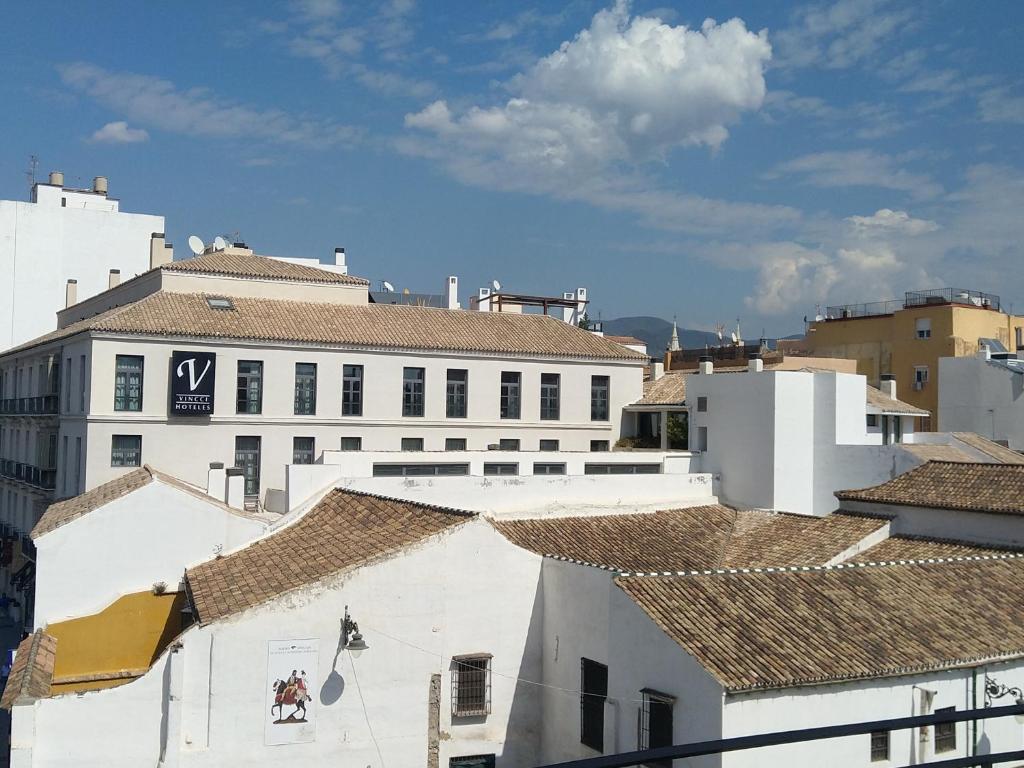 Bohemia en El Centro de Malaga, Malaga