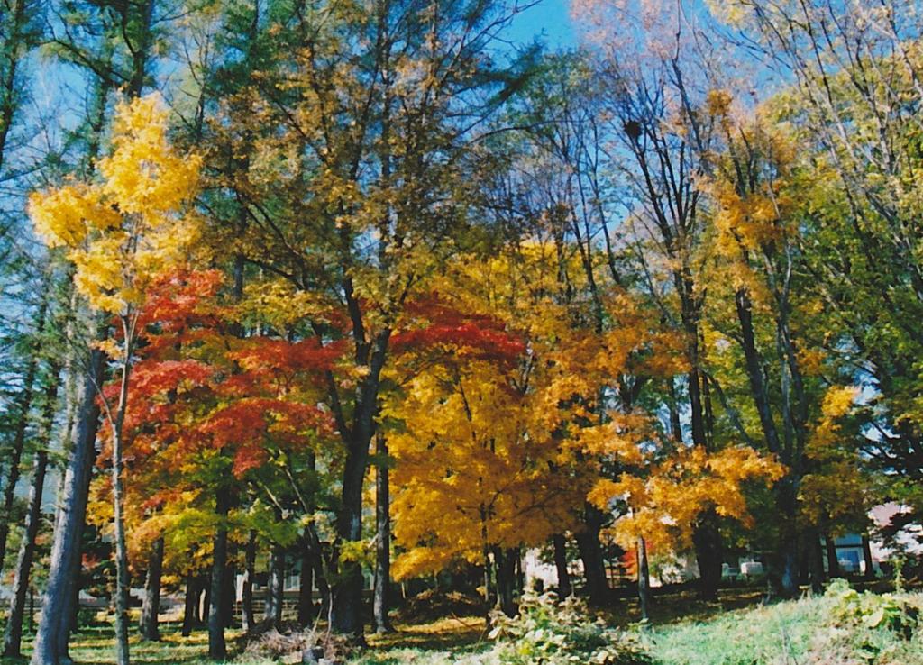 Cottage Morino Nakamatachi photo 1