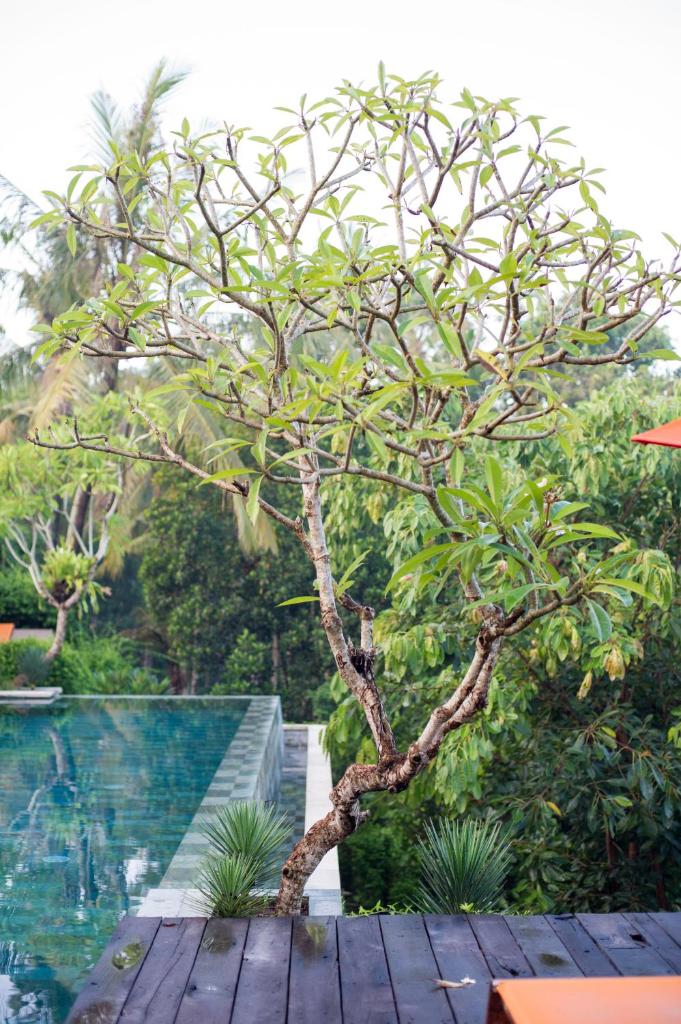 Villa Watu Sangging photo 4