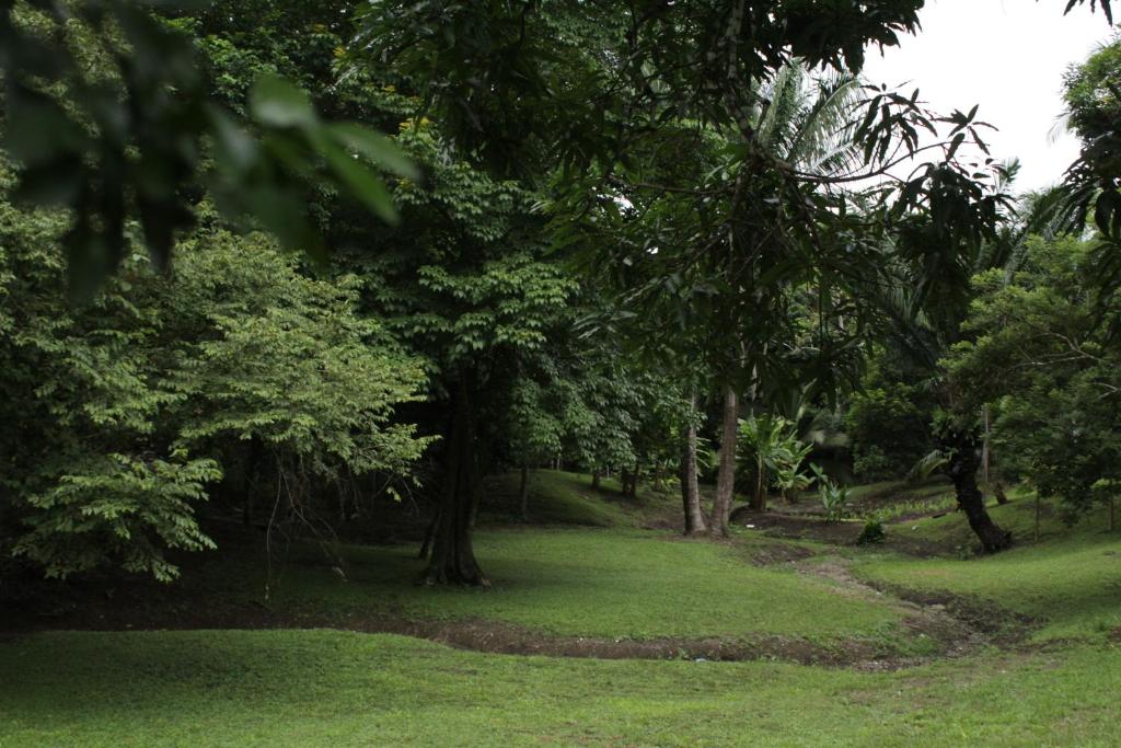 Hostel Guayacan photo 4