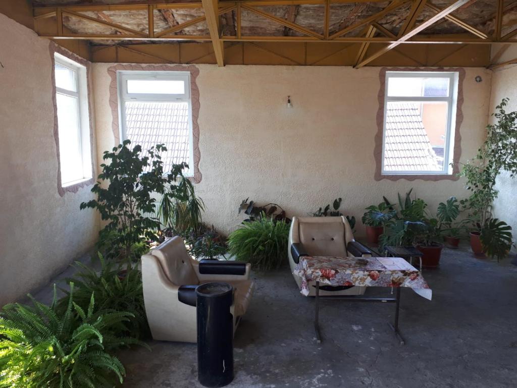La Vitalie Guest House photo 2