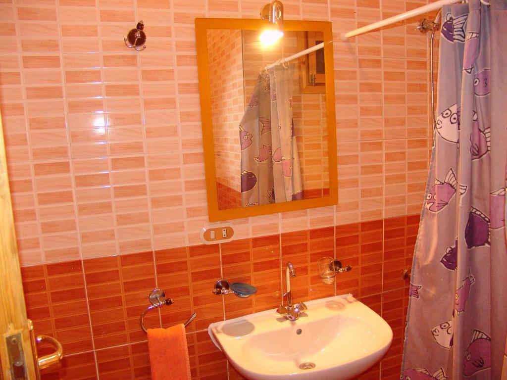 Одноместный (Бюджетный одноместный номер), Ali Baba Safaga Hotel