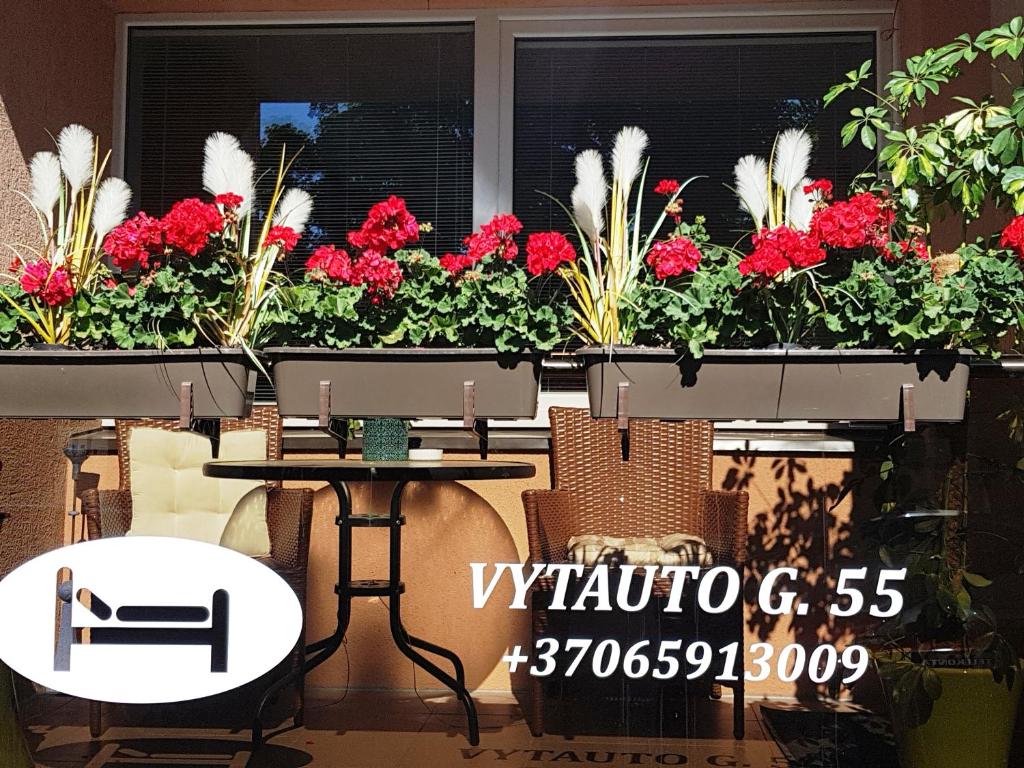 2 kambarių apartamentai su virtuve, Trakų miesto centre photo 2
