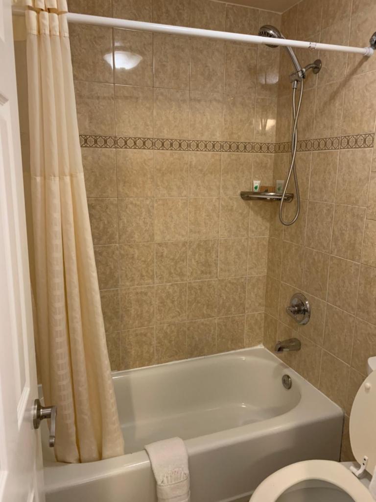 Lombard Plaza Motel photo 4