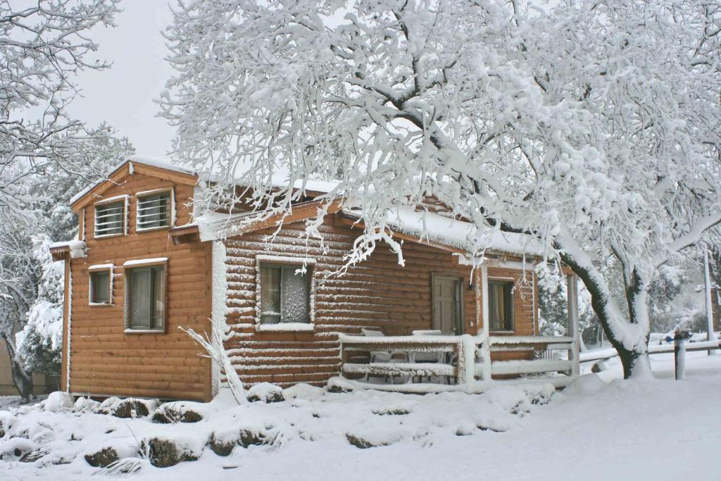 Ein Zivan Village Resort photo 1