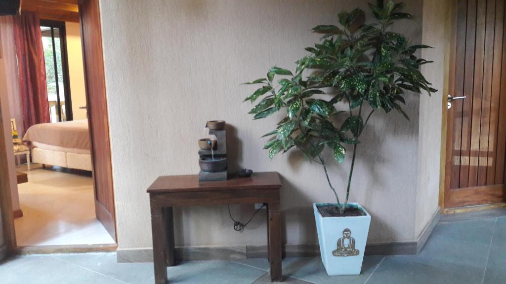 Chai Thale photo 3