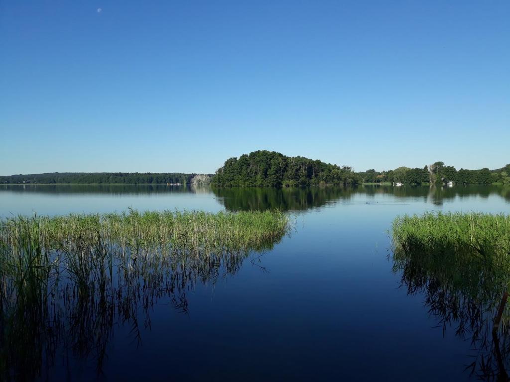Ferienhaus direkt am See photo 3
